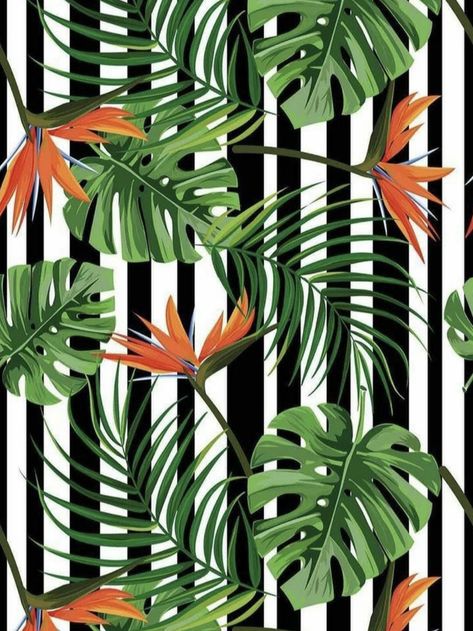 Wallpaper Door, Motif Art Deco, Plant Background, Tropical Theme, Palm Tree Print, Tropical Art, Nature Art Painting, Mural Wall Art, Digital Flowers