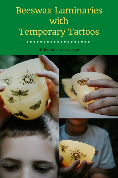 Beeswax Luminaries with Temporary Tattoo Decorations • Little Pine Learners Beeswax Luminaries, Beeswax Crafts, Luminary Diy, Black Line Tattoo, Candle Luminaries, Nature Education, Candle Projects, Diy Crafts For Teens, Pressed Flower Crafts