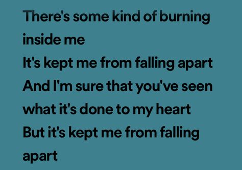 My Danish Sweetheart, Adam Cooper, Mitski Lyrics, Burning Inside, Lyrics Spotify, Life Series, Spotify Lyrics, December 2024, I Wish I Knew