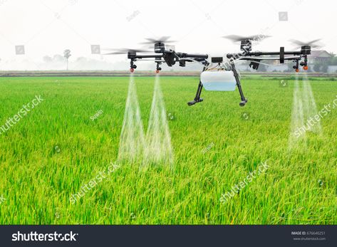 Agriculture drone fly to sprayed fertilizer on the rice fields Royalty Free image photo Sumber Daya Alam, Agriculture Drone, Precision Agriculture, Fly Spray, Drone Design, Rice Fields, Environmental Pollution, Drone Technology, Sustainable Agriculture