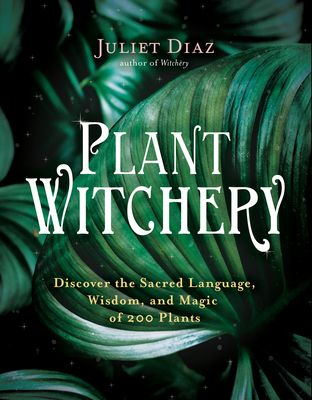 All it will take is for you to slow down and pay attention to the world around you and, I promise, you will find the world within you.Indigenous seer, gifted plant whisperer, and Witchery author Juliet Diaz invites you to walk the path of the Plant Witch. Journey far beyond the basic medicinal and magical properties of plants, deep into Mother Earth's drumming heart. Plant Witch, Powerful Magic, Book Wishlist, Communication Techniques, Zz Plant, Medicine Woman, Plant Book, Witch Books, Healing Modalities