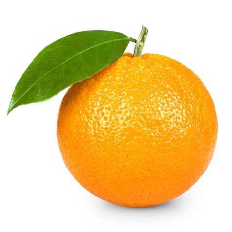 You Can Grow Citrus in North Florida - Emerald Coast Magazine Natural Antihistamine, Seasonal Allergy Symptoms, Sour Orange, Tangerine Essential Oil, Fruit Clipart, Fruits Photos, Fruit Picture, Fruit Photography, Seasonal Allergies