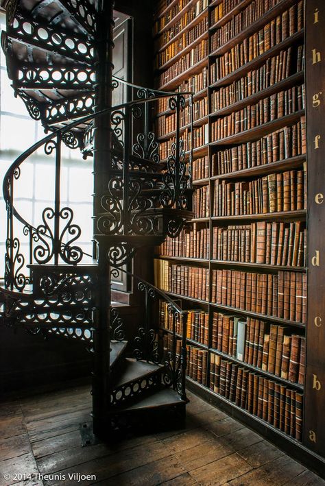 Books & Spirals - II | The Long Room - Trinity College Old Library, Dublin Home Library Aesthetic, University Aesthetic, Old Libraries, Long Room, Mind Palace, Dream Library, Beautiful Library, Old Library, Library Room