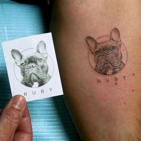 Hyperrealistic Tattoo, Animal Lover Tattoo, Grandfather Tattoo, Pet Tattoos, French Bulldog Tattoo, Bulldog Tattoo, Tattoos For Dog Lovers, Tattoo Trend, Bulldog Francese