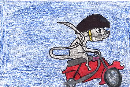 The Mouse and the Motorcycle Mouse And The Motorcycle Craft, Biker Mice From Mars Modo, Biker Mice From Mars Art, Dog On Motorcycle Drawing, Mouse And The Motorcycle, Book Reviews For Kids, Suspense Books, Book Report, The Maids