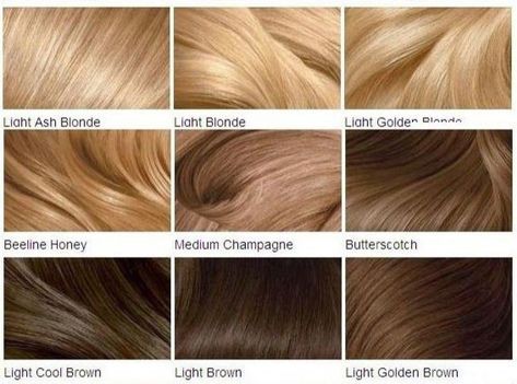 Medium Champagne Blonde Hair, Golden Beige Hair, Medium Golden Brown Hair Color, Medium Golden Brown Hair, Blonde Hair Color Chart, Brown Hair Color Chart, Champagne Blonde Hair, Medium Golden Brown, Golden Brown Hair Color