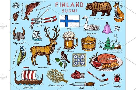 Symbols of Finland in vintage by Arthur Balitskiy on @creativemarket Finland Culture, Scandinavian Culture, Finland Flag, Finnish Language, Goat Logo, Countries And Flags, Scandinavian Aesthetic, Dog Vector, Doodle Sketch