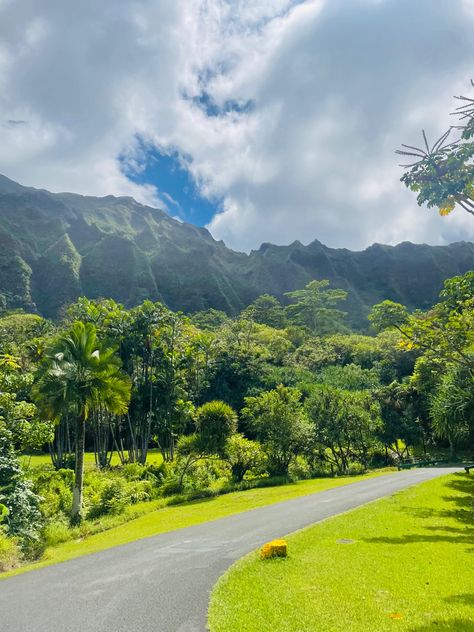 Hoomaluhia Botanical Gardens, Golden Life, Hawaii Life, Honolulu Hawaii, Hawaii Vacation, Oahu Hawaii, Vacation Places, Hawaii Travel, Island Life