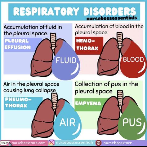 Respiratory Disorders, Emt Study, Medical Assistant Student, Paramedic School, Nursing Information, Nursing School Essential, Nursing School Motivation, Basic Anatomy And Physiology, Nurse Study Notes