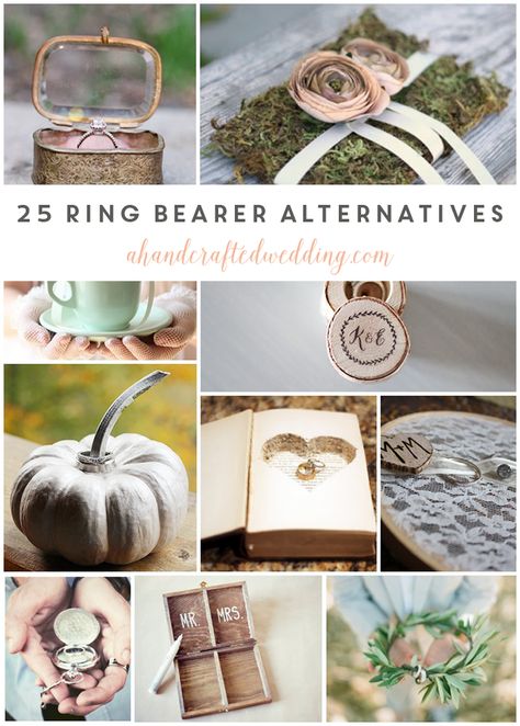 From rustic to vintage, beach-inspired to bohemian, here are 25 ring bearer pillow alternatives that can be put together on even the tiniest of budgets. MountainModernLife.com Ring Bearer Holder, Ring Bearer Pillow Alternative, Oval Emerald Ring, Rustic Ring Bearers, Mesh Jewelry, Ring Bearer Flower Girl, Ring Bear, Ring Bearers, Rustic Rings