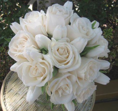 white tulip and white rose bouquet - Google Search White Rose Bridal Bouquet, La Jolla Wedding, White Rose Wedding Bouquet, Wedding Flowers Tulips, Tulip Wedding, White Rose Bouquet, White Roses Wedding, Rose Bridal Bouquet, Rose Centerpieces