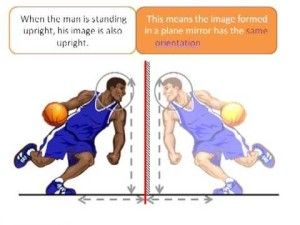 The properties of the image formed by a plane mirror Mirror Light Reflection, Plane Mirror, Spherical Mirror, Concave Mirrors, In Plane, First Plane, Mirror Light, Convex Mirror, Light Rays