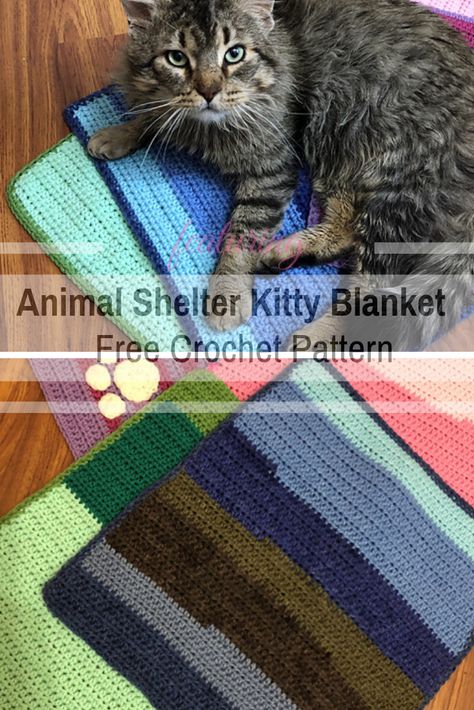 Make A Kitty Blanket To Donate To A Local Animal Shelter - Knit And Crochet Daily Animal Shelter Donations, Animal Shelter Fundraiser, Animal Shelter Design, Animal Shelter Volunteer, Crochet Cat Bed, Crochet Cat Toys, Crochet Beautiful, Shelter Design, Design Crochet