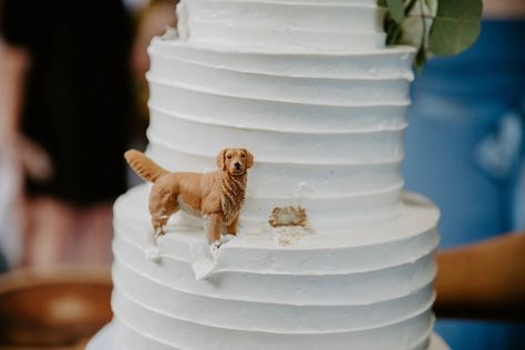 Couple's Wedding Cake Features a Figurine of Their Beloved Dog Wedding Cakes Dog, Golden Retriever Wedding, Peacock Wedding Cake, Wedding Cake Figurines, Biscuit Bar, Black Wedding Cakes, Themed Wedding Cakes, Dog Cakes, Dog Cake