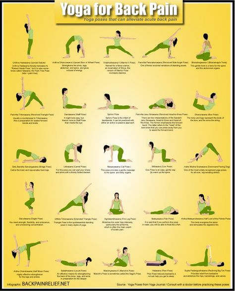 Infographic Sundays - Yoga for Back Pain Yoga Poses For Back Pain, Yoga For Back, Yoga Poses For Back, Bolesti Chrbta, Ashtanga Vinyasa Yoga, Chronic Lower Back Pain, Yoga Beginners, Yoga For Back Pain, Sup Yoga