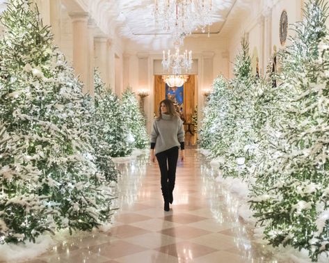 First Lady Melania Trump examines the Christmas lighting decorations along the State Floor of the White House in Washington, D.C. White House Christmas Decorations, White House Tour, White House Christmas, Some Beautiful Pictures, Entertaining Decor, Christmas Things, Snow Angels, True Life, The White House