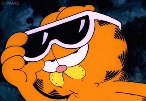 Garfield Gif, Garfield The Cat, Hey There, No Se, Gif, Sunglasses