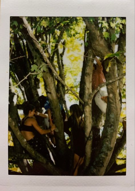 Treehugger Aesthetic, Hippy Nature Aesthetic, Real Hippies 70s, 70s Folk Rock Aesthetic, Hippy Aesthetic, 70s Peace Protests, Hippies Protesting, Hippie Aesthetic, Tree Hugger