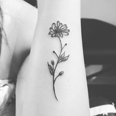 Top 53+ Best Aster Flower Tattoo Ideas - [2021 Inspiration Guide] Aster Flower Tattoo, Aster Tattoo, Aster Flower Tattoos, Name Flower Tattoo, Flower Shoulder Tattoo, Tattoo Black And White, Tattoo 2023, Flower Tattoo Ideas, Aster Flower