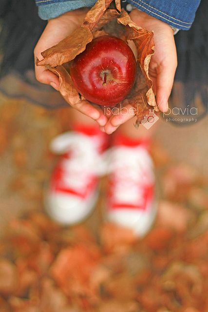 Fall Mini Sessions, Fall Mini, School Photography, Fall Family Photos, Childrens Photography, Fall Photoshoot, Apple Picking, Fall Pictures, School Photos