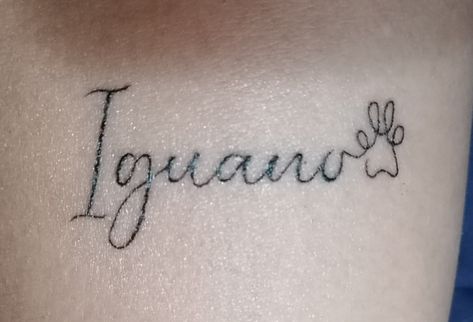 Tatuaje en letra fina, con el nombre de mi mascota. Tattoo Quotes, Tattoos