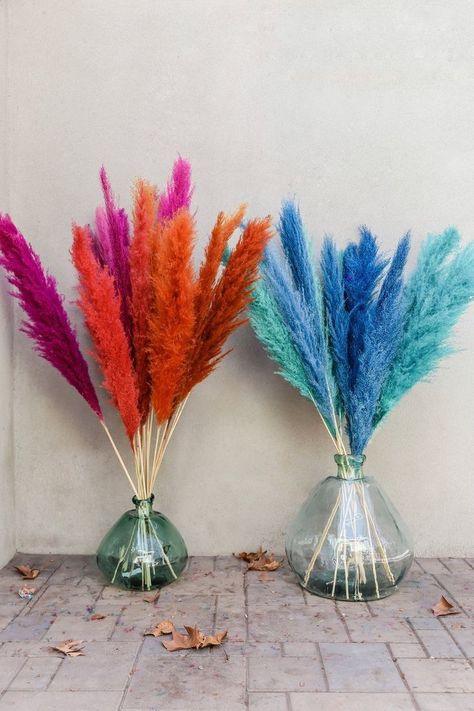 Rodeo Prom, Red Pampas, Blue Pampas, Girls Brunch, Dried Pampas, Pampas Grass Decor, Grass Decor, 70s Party, College Apartment