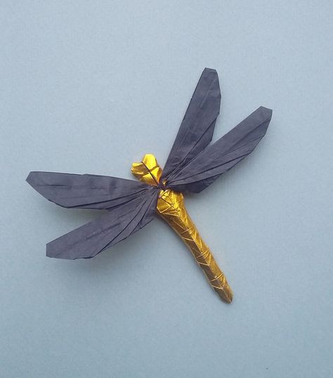 Sérgio Queiroz folded this great dragonfly.  The colour change in this model is pretty awesome. #origami Dragonfly Origami, Origami Dragonfly, Insect Art Projects, Origami Insects, Origami Flower Bouquet, Fly Paper, Creative Origami, Origami Artist, Origami 3d