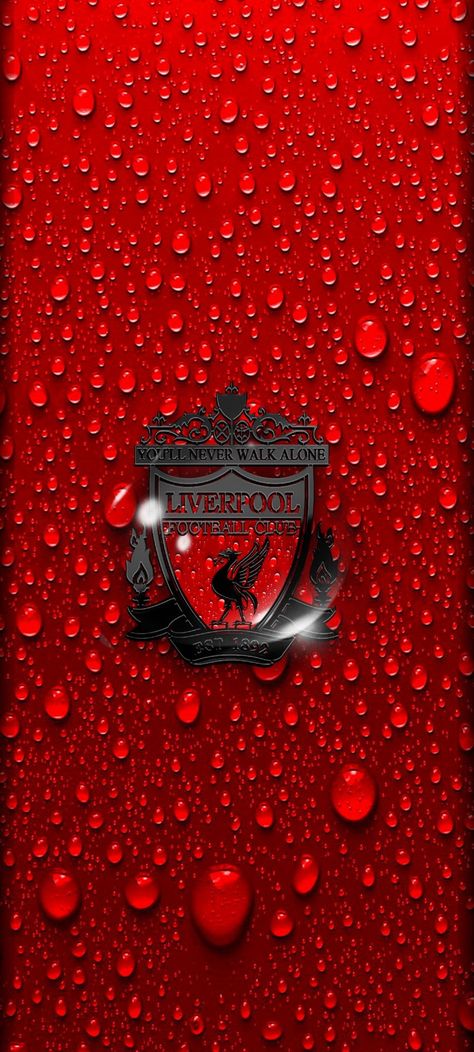 Iphone Wallpaper Liverpool, Pretty Wallpapers Backgrounds Beauty, Liverpool Badge, Lfc Logo, Lfc Wallpaper, Liverpool Fc Logo, Rose Gold Wallpaper Iphone, Liverpool Football Club Wallpapers, Liverpool Logo