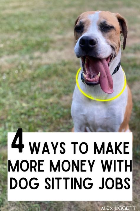 Dog Sitting Tips, Pet Sitting Aesthetic, Dog Walking Flyer, Dog Sitting Business, Pet Care Business, Best Work From Home Jobs, Pet Sitting Business, Pet Sitting Services, Work From Home Careers