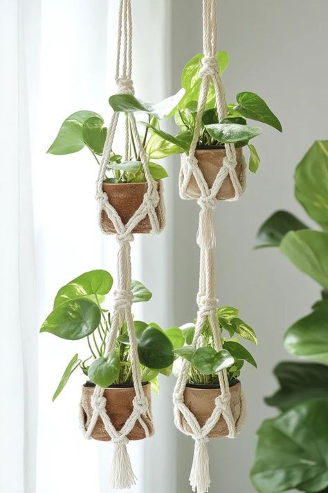 "Add a boho touch to your decor with DIY Macramé Plant Hangers! 🛠️🌿 Perfect for displaying your favorite plants in style. 🌟✨ #DIYMacrame #PlantHangers #BohoDecor" Small Macrame Plant Hanger Diy, Diy Macramé, Macrame Style, Contemporary Bohemian, Diy Macrame Plant Hanger, Mini Macrame, Macrame Hanger, Macrame Hanging, Plant Hangers