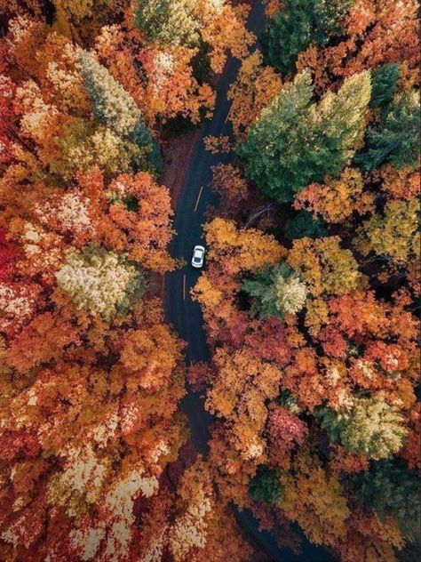 Have Inspiration, Mini Countryman, Autumn Beauty, Fall Pictures, Autumn Cozy, Autumn Aesthetic, Fall Wallpaper, Super Excited, Autumn Photography