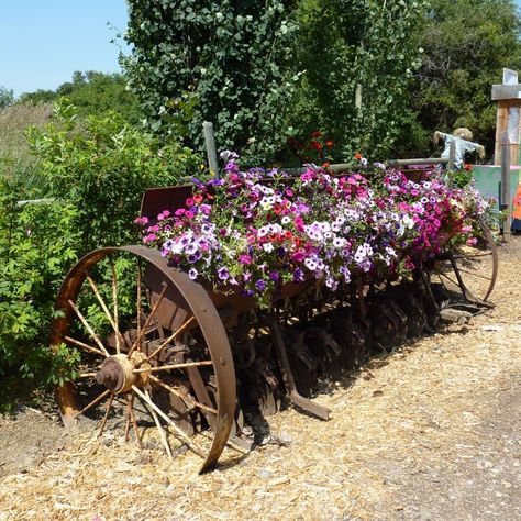 Recycled Garden Projects, Barn Landscaping, Country Yard, Farm Landscaping, Prairie Garden, Farmhouse Landscaping, Garden Junk, Piscina Natural, Farm Tools