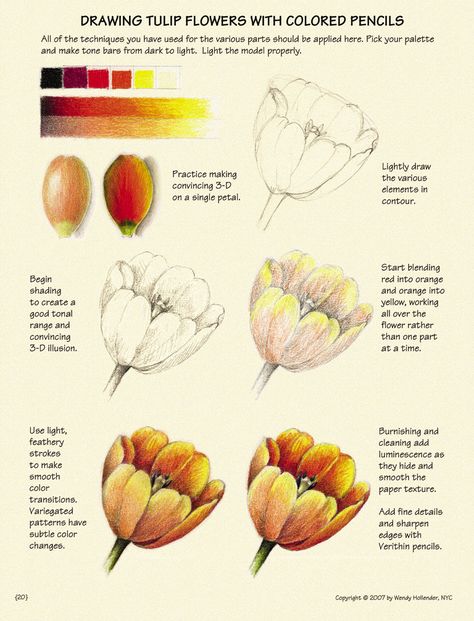 Hur Man Ritar Blommor, Draw Plants, Planting Tips, Colored Pencil Tutorial, Pencil Drawing Tutorials, Flower Drawing Tutorials, Coloring Tips, Colored Pencil Techniques, Plant Drawing