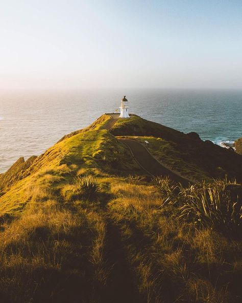 Giulia Gartner on Instagram: “My favorite little lighthouse located on the very northern tip of New Zealand! Beautiful memories, will forever remember that sunset. Tag…” New Zealand Sunset, Cape Reinga, Travel Photography Europe, Travel Photography Nature, Travel Picture Ideas, Palliative Care, Travel Photography Tips, Travel Photography Inspiration, Beautiful Travel