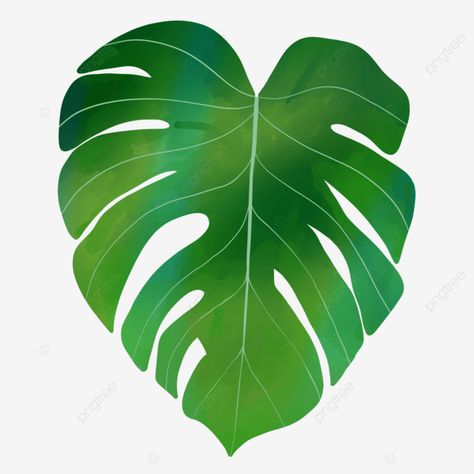 Monstera Printable, Leaf Png, Leaf Ornament, Leaf Border, Background Remover, Leaf Background, Wall Background, Seamless Background, Banana Leaf