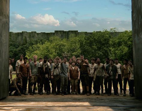 Maze-runner-movie-glade Maze Runner Characters, Maze Runner Thomas, Maze Runner The Scorch, Maze Runner Trilogy, Maze Runner Cast, Maze Runner Movie, The Scorch, The Scorch Trials, Maze Runner Series