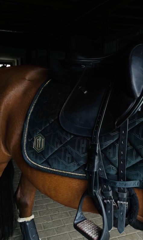 #horsefashion #saddlepad #black #allinblack #horse #equestrian #equestrianfashion #psofsweden #dressage #classy #eskadron #equestrianstockholm #pony #dressagepony #equito Horse Fashion, Antique Green, Horse Equestrian, Saddle Pads, Equestrian Style, Dressage, Stockholm, Equestrian, Messenger Bag