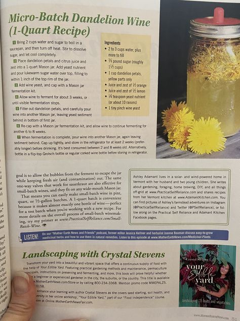 Dandelion Mead Recipe, Dandelion Wine Recipe, Dandelion Cordial, Dandelions Witchcraft, Dandelion Root Witchcraft, How To Make Mead, Homemade Wine Recipes, Mead Recipe, Dandelion Wine