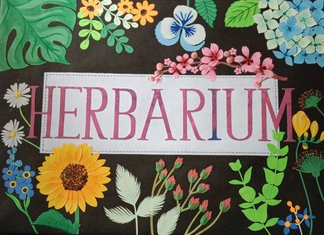 Cut Paper Work Herbarium Project File Cover Herbarium File Cover Decoration, Herbarium File, Project File Cover, Work Appreciation, Book Cover Page Design, File Cover, Project Cover Page, Book Cover Page, Front Cover Designs