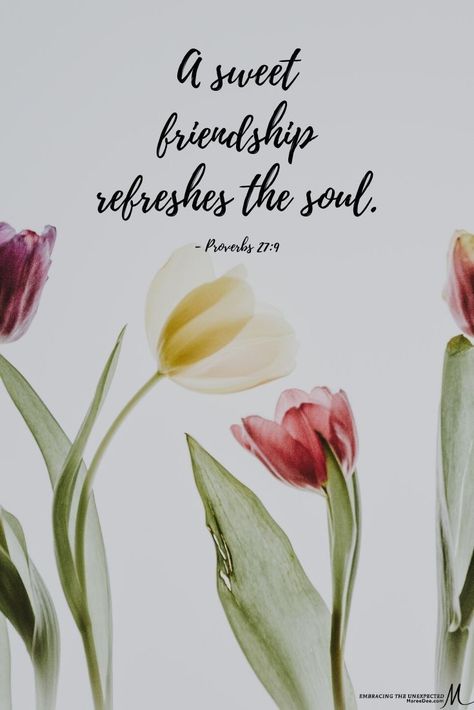 The heartfelt counsel of a friend is as sweet as perfume and incense.  (Proverbs‬ ‭27:9)  PRAYER 🙏🏼  GOD thankYou! Today and everyday we ask that You surround us with people who are able to give us godly counsel and encourage our walks with You—and make us to be people who are willing to take heed and be open to Your guidance from them-in Jesus’ name we pray Amen! Annie Spratt, I Need Jesus, Friends For Life, Faith Encouragement, Jesus Name, Hope Quotes, Soul Sisters, Ask Yourself, Scripture Art