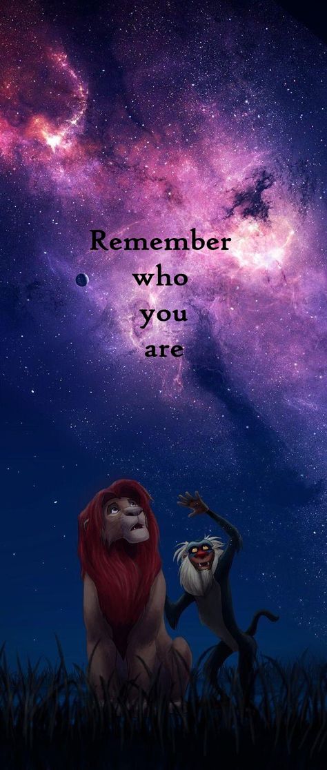 Lion King Kovu, Lion King Wallpaper, Disney Characters Quotes, Lion King Quotes, King Wallpaper, Lion King Pictures, The Lion Sleeps Tonight, Lions Photos, Wallpaper Iphone Love