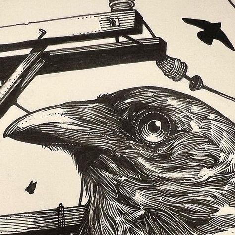 Ricardo Ales on Instagram: "NEW PRINT “Boundary” Now available for preorder! Check it out in my shop! ��🤘🏼 #art #drawing #bird #crow #ink" Crow Sketch, Animal Sketches, New Print, Check It Out, Ink Art, Art Classes, I Shop, Drawings, Animals