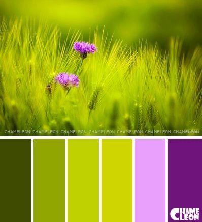 Palette Verde, Lime Green Color Palette, Complementary Colors Examples, Purple Color Chart, Color Uva, Colours That Go Together, Chartreuse Color, Purple Color Palettes, Peridot Color