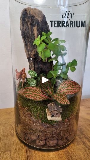 62K views · 2.2K reactions | How to make an open terrarium?  Steps: 1. Take a glass jar of suitable size.  2. Add leca balls or pebbles as the base layer. This is to hold the extra water.  3. Add a mesh on top of the base. This will help the soil mix from going down.  4. Add a layer of gravel.  5. Prepare the soil mix and add suitable amount of it. I have used a mix that contains ✨ Garden soil ✨ Cocopeat ✨ Dried leaves ✨ Charcoal ✨ Compost ✨ Perlite  6. Plant your terrarium. I have used fittonia, jade and moss.  7. Add miniatures of your choice.  8. Water with a sprayer. Ensure that you are not over watering.  9. Clean the inside with a tissue paper.  10. Done ! Now keep it in a place where it gets indirect sunlight.  #terrarium #diyterrarium  #gardeningtips  #openterrarium  #minigarden  # Open Terrariums, Terrarium Diy, Dry Leaf, Garden Soil, Diy Plants, Diy Planters, Base Layer, Mini Garden, Terrarium