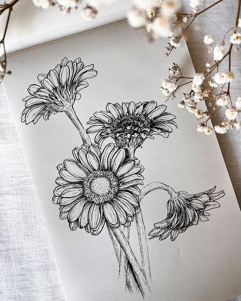 Drawings Ideas Aesthetic Flowers, Flower Ink Drawing Illustrations, Sketch Book Ideas Flowers, Pencil Flower Sketch, Flower Drawing Detailed, Wild Flower Sketches Simple, Detailed Flower Drawings, Micron Pen Art Flowers, Flower Drawing Inspiration