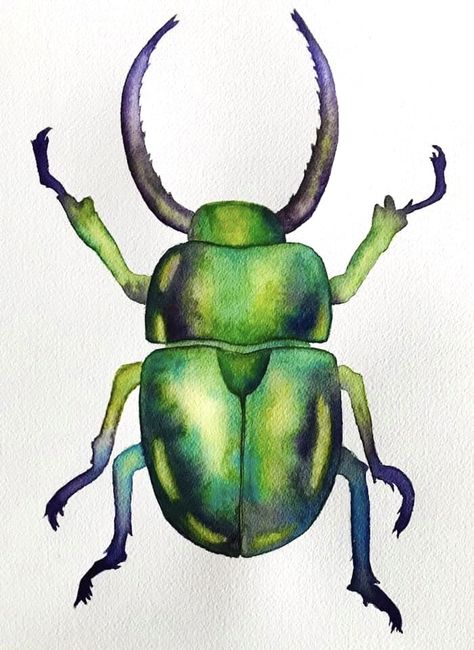 Beetle Drawing, Beetle Art, Watercolor Kit, Bug Art, Watercolor Tips, Acrylic Painting Lessons, Beautiful Bugs, Insect Art, Scientific Illustration