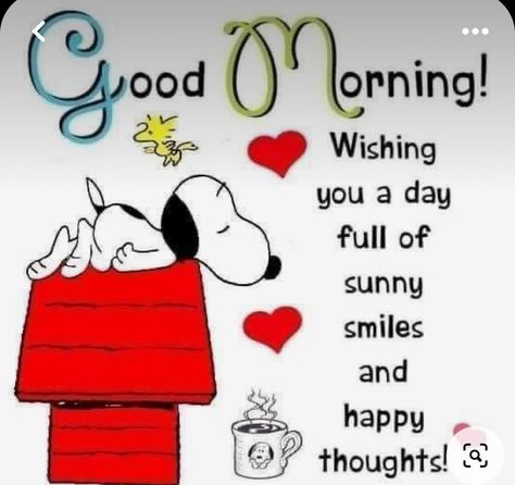 Morning Vibes Quotes, Brown Pics, Motivation Photo, Daily Wishes, Good Morning Snoopy, Peanut Gang, Nature Sunrise, Movies Animation, Daily Vibes