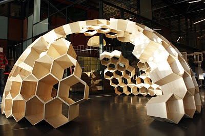 Hexagonal Architecture, Form Architecture, Interior Design Principles, Geometric 3d, Parametric Design, Timber Construction, Bag Display, Architecture Design Concept, Geodesic Dome