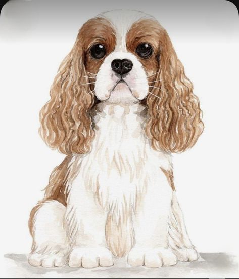 Cavalier King Charles Spaniel Blenheim, Pet Tattoo Ideas, Pet Tattoos, Cavalier King Spaniel, Dog Drawing Simple, King Spaniel, Cavalier Dog, Dog Portraits Art, Cavalier Puppy