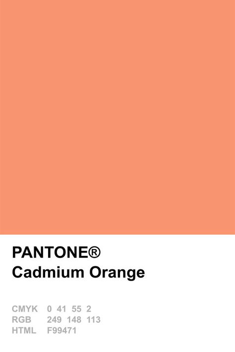 Orange Pantone, Pantone Orange, Pantone 2015, Summer Color Trends, Cadmium Orange, Pantone Swatches, Pantone Colours, Pantone Palette, Pantone Colour Palettes